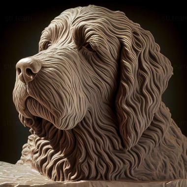 3D model Spanish Water dog (STL)